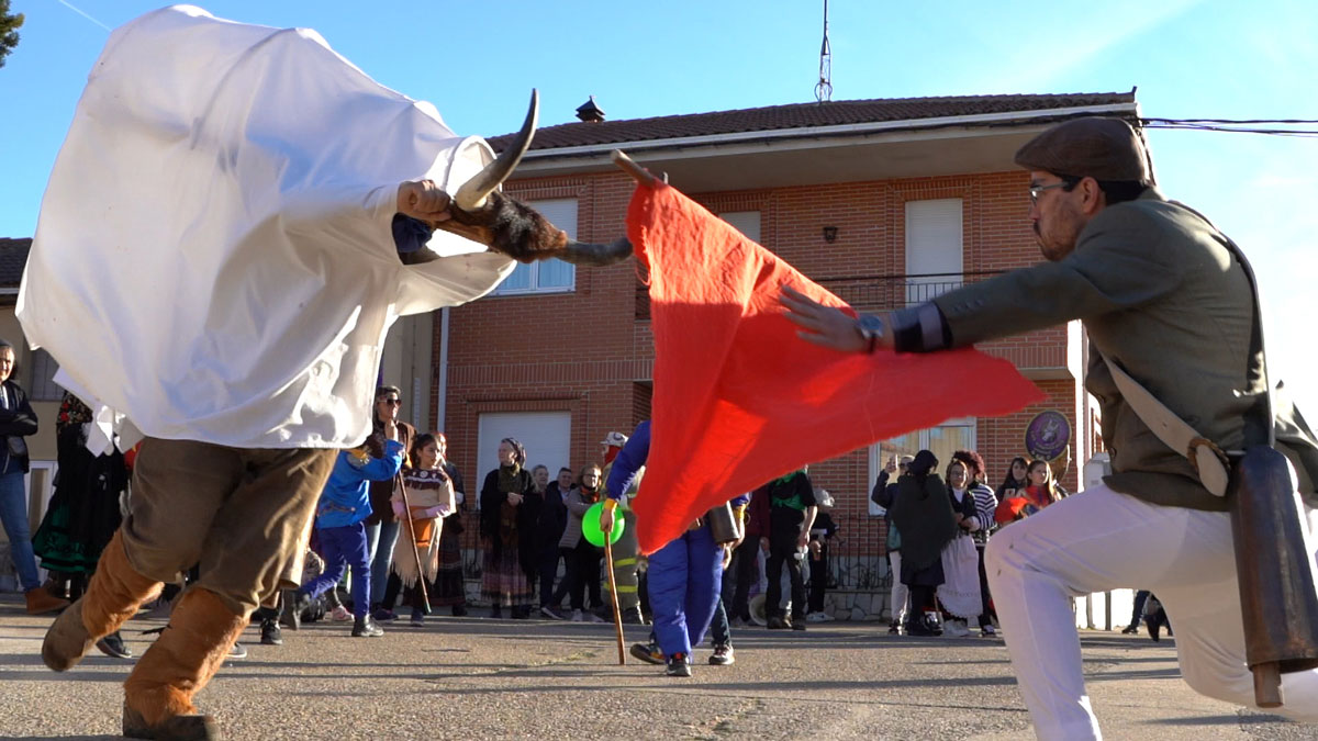 TORO DE CARNAVAL